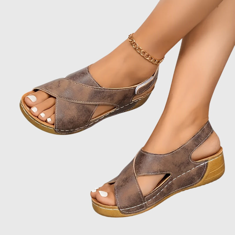Terra Brown / 12 US | 43 EU